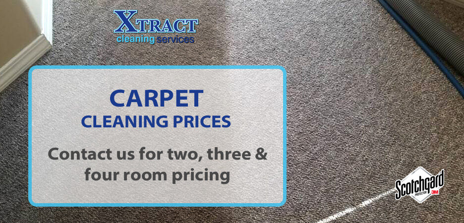 Carpet Cleaning